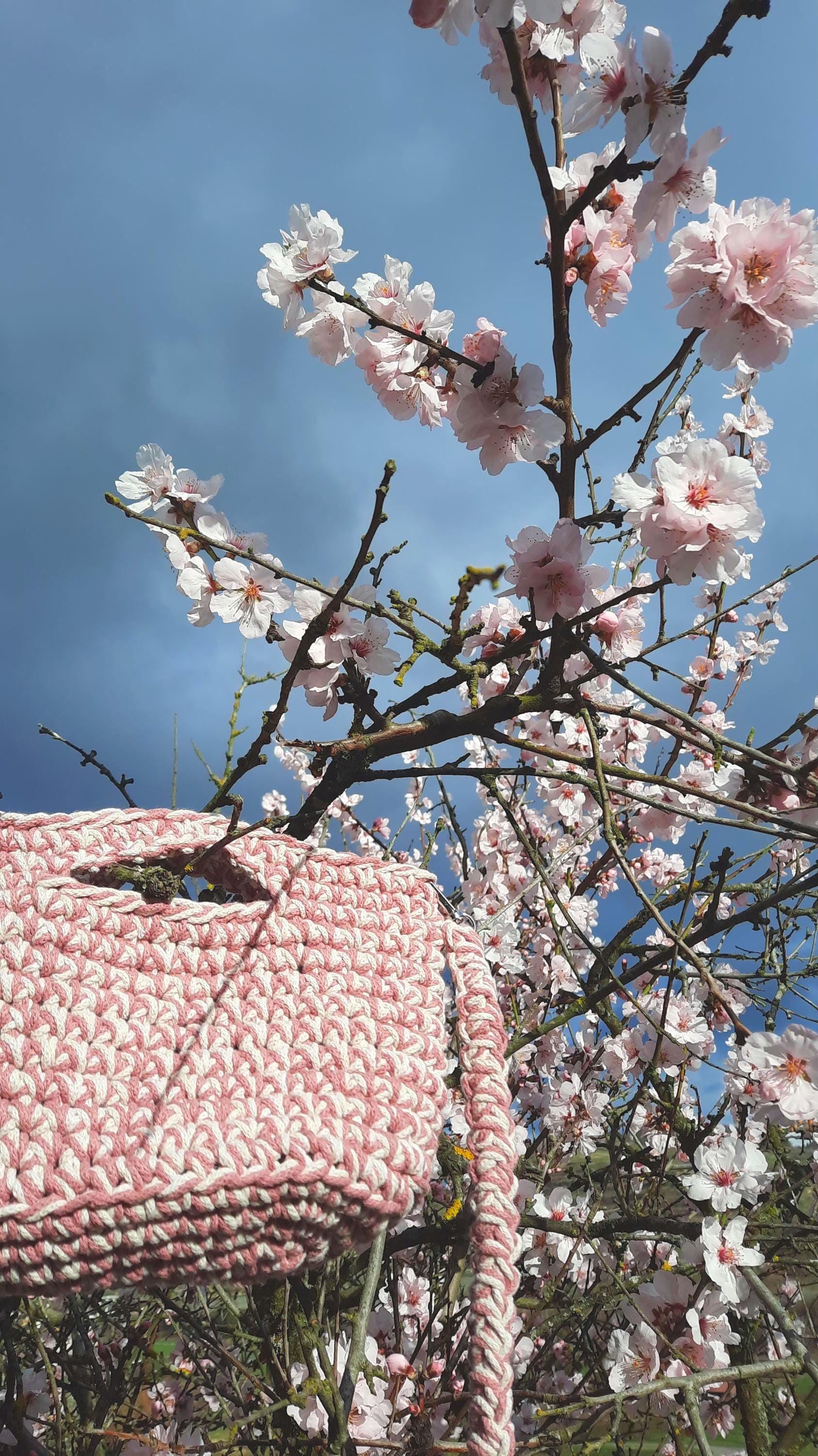 Nahaufnahme der Tasche, wie sie im Kirschbaum hängt. Die Blüten und die Tasche habben die gleiche Farbe.